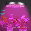 Full spectrum grow lamp horticulture plant light